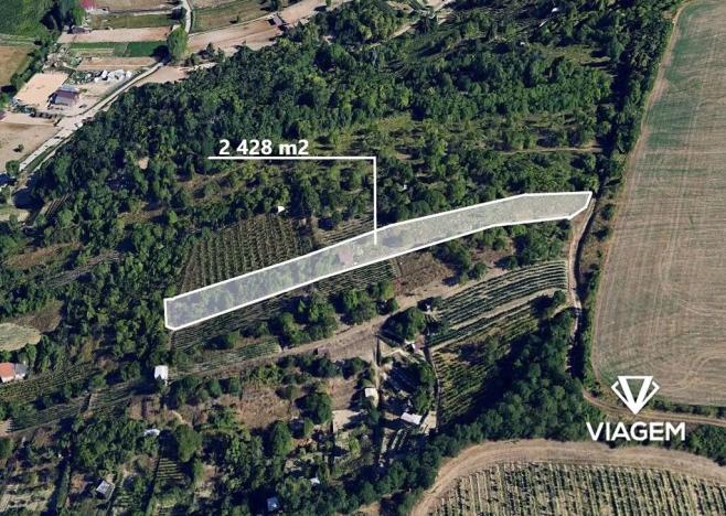 Prodej podílu zahrady, Hustopeče, 809 m2