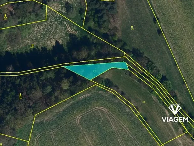 Prodej podílu lesa, Krásná Hora, Kojkovice, 598 m2