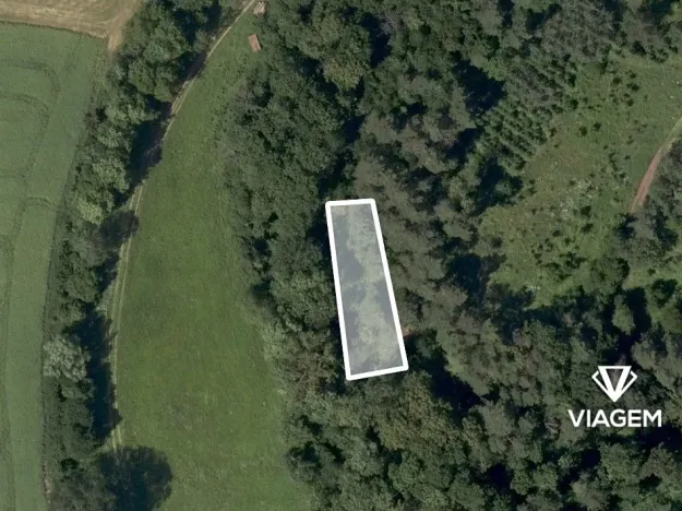 Prodej lesa, Letovice, 364 m2