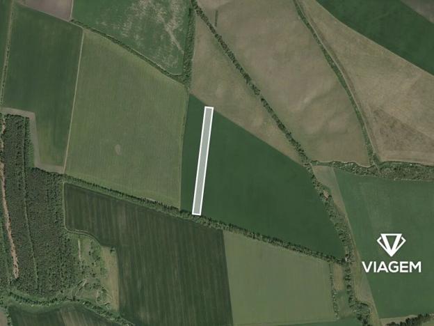 Prodej pole, Šumice, 8163 m2