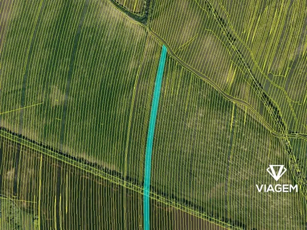 Prodej pole, Šumice, 8163 m2