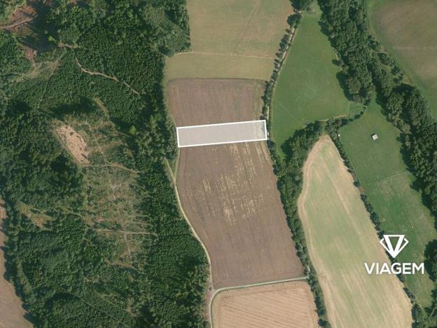 Prodej podílu pole, Dolní Hořice, 1517 m2