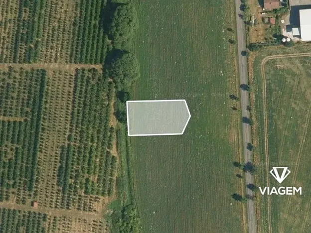 Prodej pole, Choltice, 1224 m2