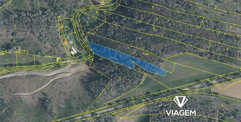 Prodej lesa, Slavičky, 3165 m2