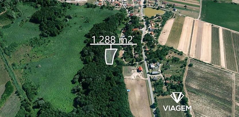 Prodej podílu lesa, Brod nad Dyjí, 644 m2