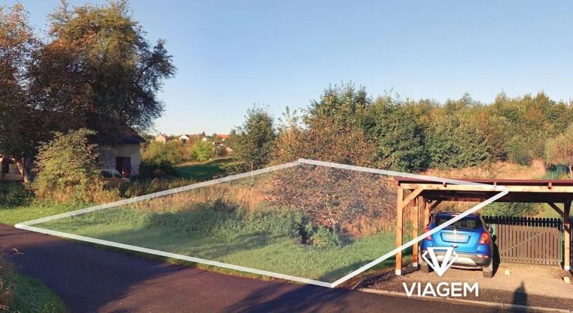 Prodej pole, Dětmarovice, 2485 m2