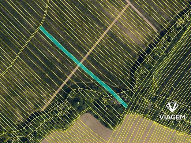 Prodej podílu pole, Mistřice, 1500 m2