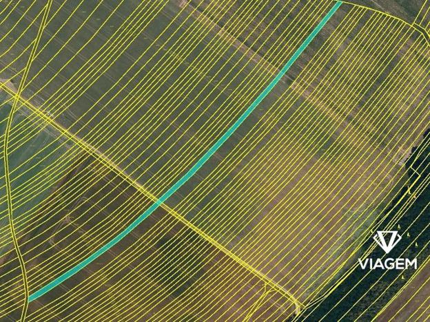 Prodej podílu pole, Kuchařovice, 1317 m2