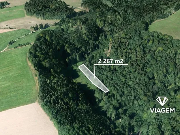 Prodej podílu lesa, Liberk, 1889 m2