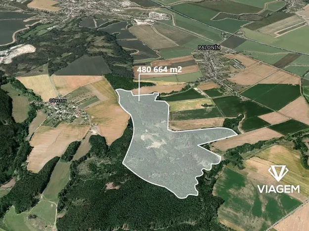 Prodej podílu lesa, Palonín, 94082 m2
