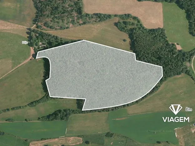 Prodej podílu lesa, Korkyně, 46018 m2