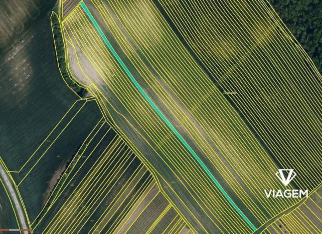 Prodej pole, Starý Poddvorov, 2276 m2