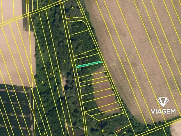 Prodej podílu lesa, Bystřice pod Hostýnem, 597 m2