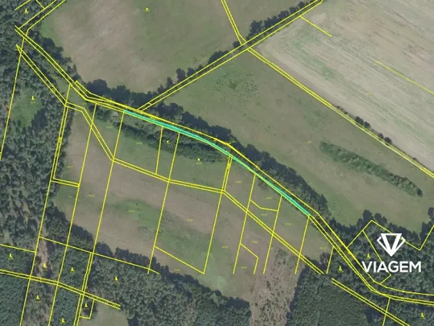 Prodej podílu lesa, Sokoleč, 1999 m2