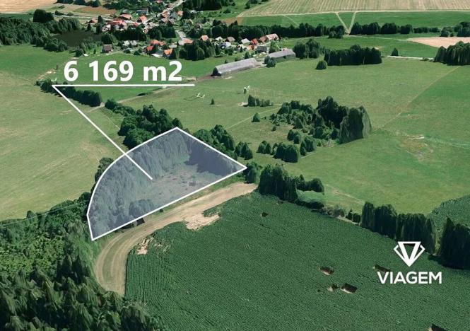 Prodej louky, Ždírec nad Doubravou, 6169 m2