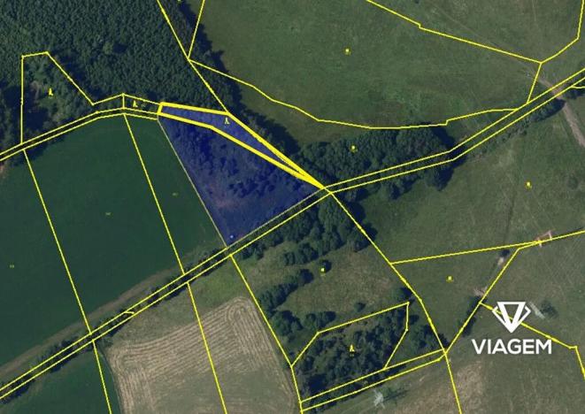 Prodej louky, Ždírec nad Doubravou, 6169 m2