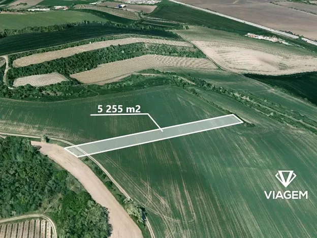 Prodej podílu pole, Blučina, 1751 m2