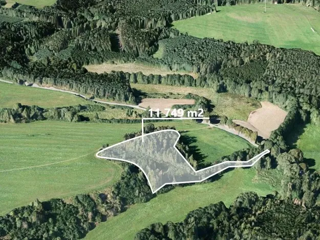 Prodej lesa, Svojšín, 11749 m2