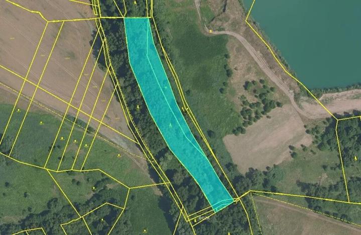 Prodej podílu lesa, Záryby, 1009 m2