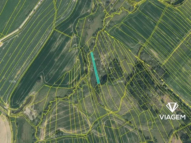 Prodej podílu pole, Rosička, 1295 m2