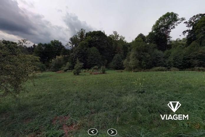 Prodej podílu lesa, Zlatá Olešnice, 963 m2