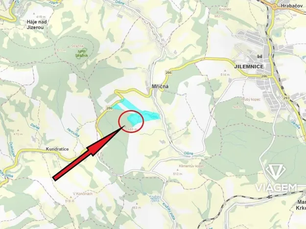 Prodej podílu lesa, Mříčná, 3898 m2