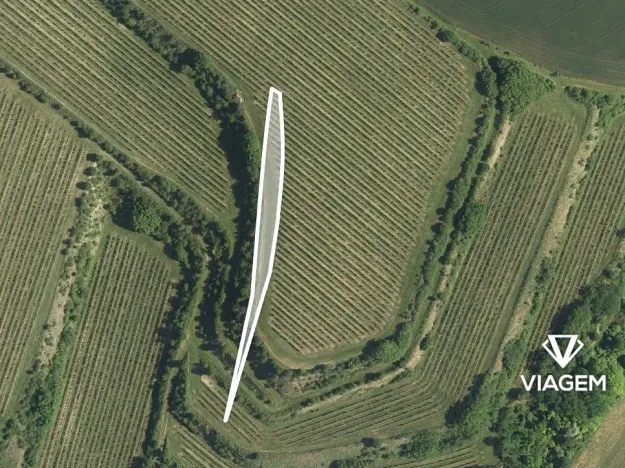 Prodej podílu pole, Uherčice, 206 m2