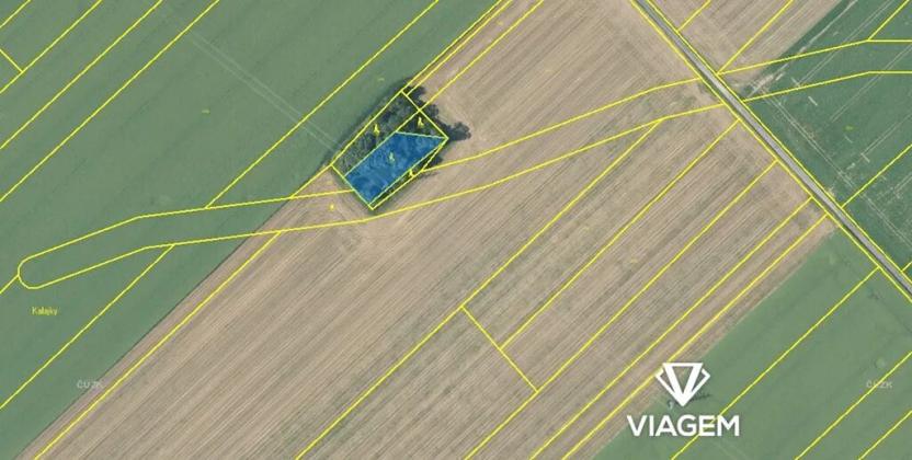 Prodej lesa, Neplachovice, 1321 m2