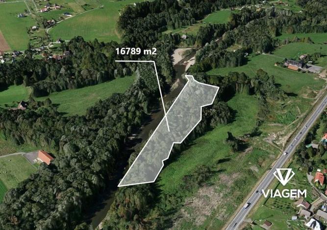 Prodej podílu lesa, Bystřice, 1818 m2