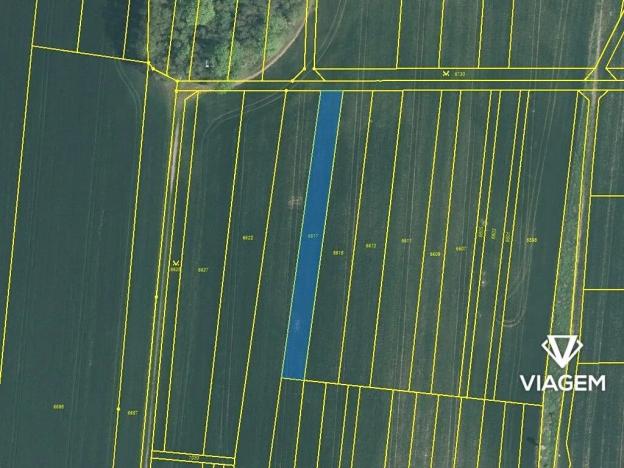 Prodej podílu pole, Němčice nad Hanou, 139 m2