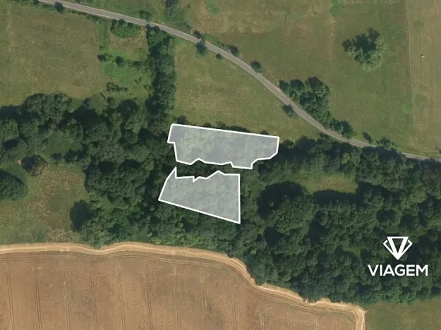 Prodej podílu lesa, Kravaře, 854 m2