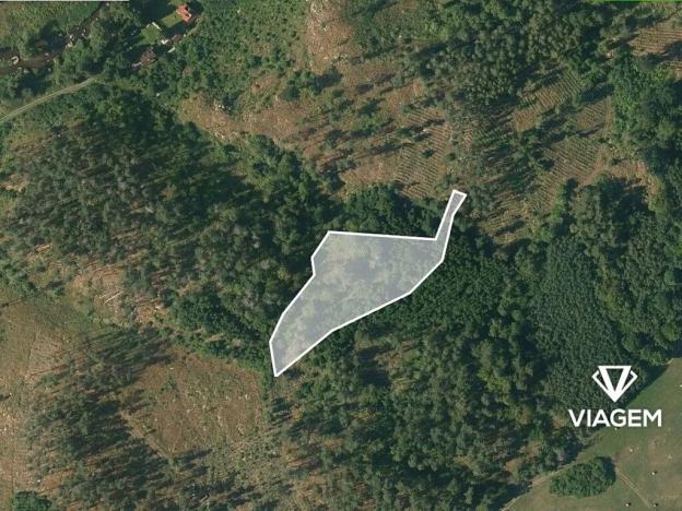 Prodej podílu lesa, Petráveč, 609 m2