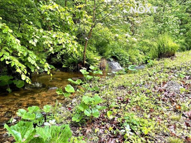 Prodej rodinného domu, Tanvald, Sladká Díra, 170 m2