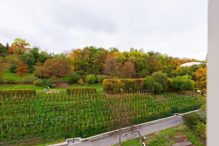 Pronájem bytu 2+kk, Praha - Žižkov, Tachovské náměstí, 50 m2