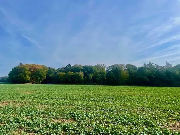 Prodej pole, Praha - Liboc, Na Padesátníku I, 24066 m2