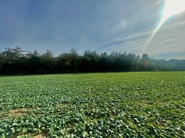 Prodej pole, Praha - Liboc, Na Padesátníku I, 24066 m2