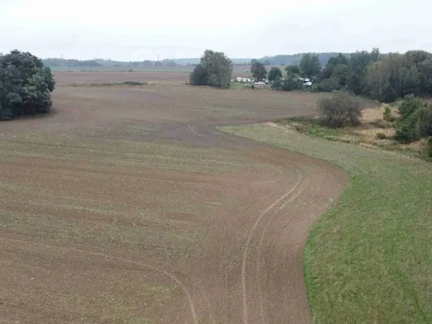 Dražba pole, Kostelec nad Černými lesy, 15764 m2
