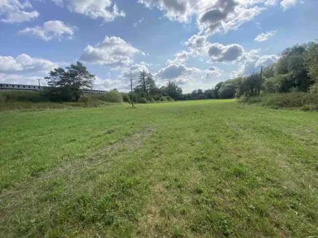 Dražba louky, Čížkov, 1885 m2