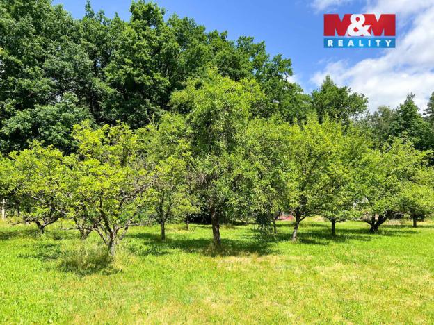 Prodej zahrady, Strakonice - Strakonice I, 2504 m2