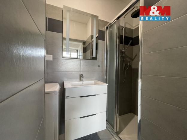 Pronájem bytu 1+kk, Praha - Vinohrady, Vinohradská, 38 m2