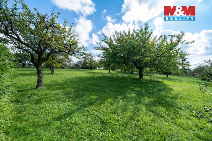 Pronájem zahrady, Letkov, 3585 m2