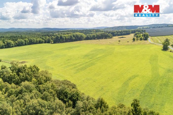 Prodej pole, Přimda - Mlýnec, 238031 m2