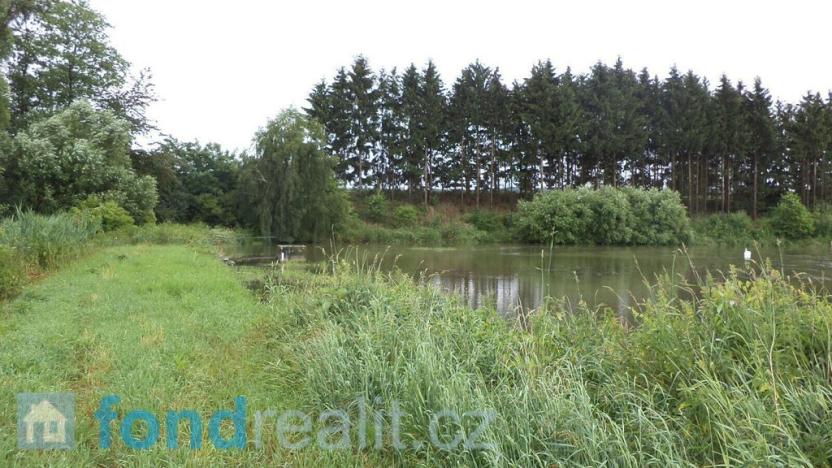 Prodej pozemku, Třebařov, 4992 m2