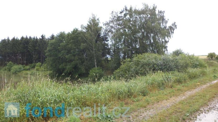 Prodej pozemku, Třebařov, 4992 m2