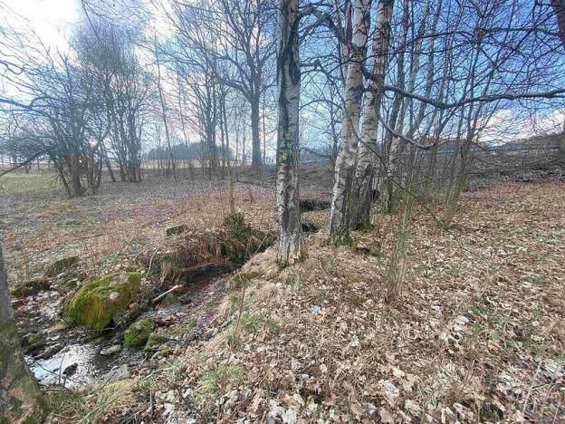 Prodej pole, Bartošovice v Orlických horách, 5738 m2