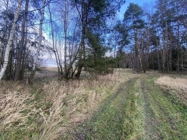 Prodej pozemku, Kaplice - Pořešín, 11526 m2