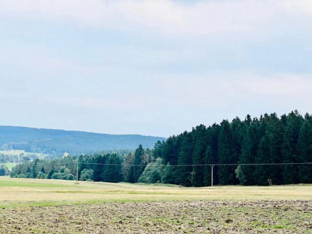 Prodej louky, Herálec, 35197 m2