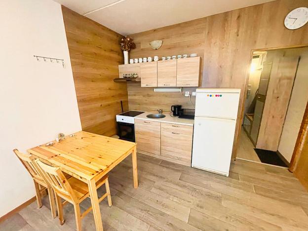 Pronájem bytu 1+kk, České Budějovice - České Budějovice 2, K. Chocholy, 30 m2