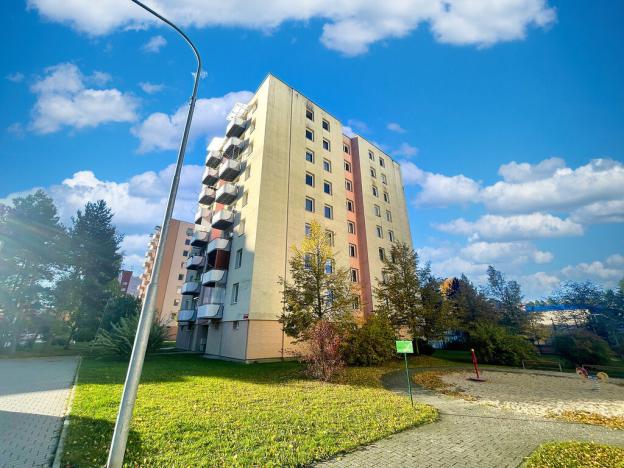 Pronájem bytu 1+kk, České Budějovice - České Budějovice 2, K. Chocholy, 30 m2