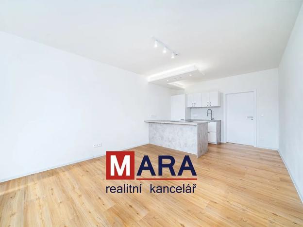 Pronájem bytu 1+kk, Olomouc, Aloise Rašína, 31 m2